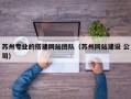 苏州专业的搭建网站团队（苏州网站建设 公司）