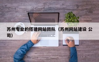 苏州专业的搭建网站团队（苏州网站建设 公司）